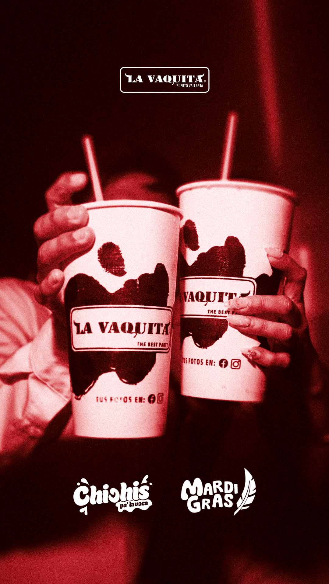 la_vaquita